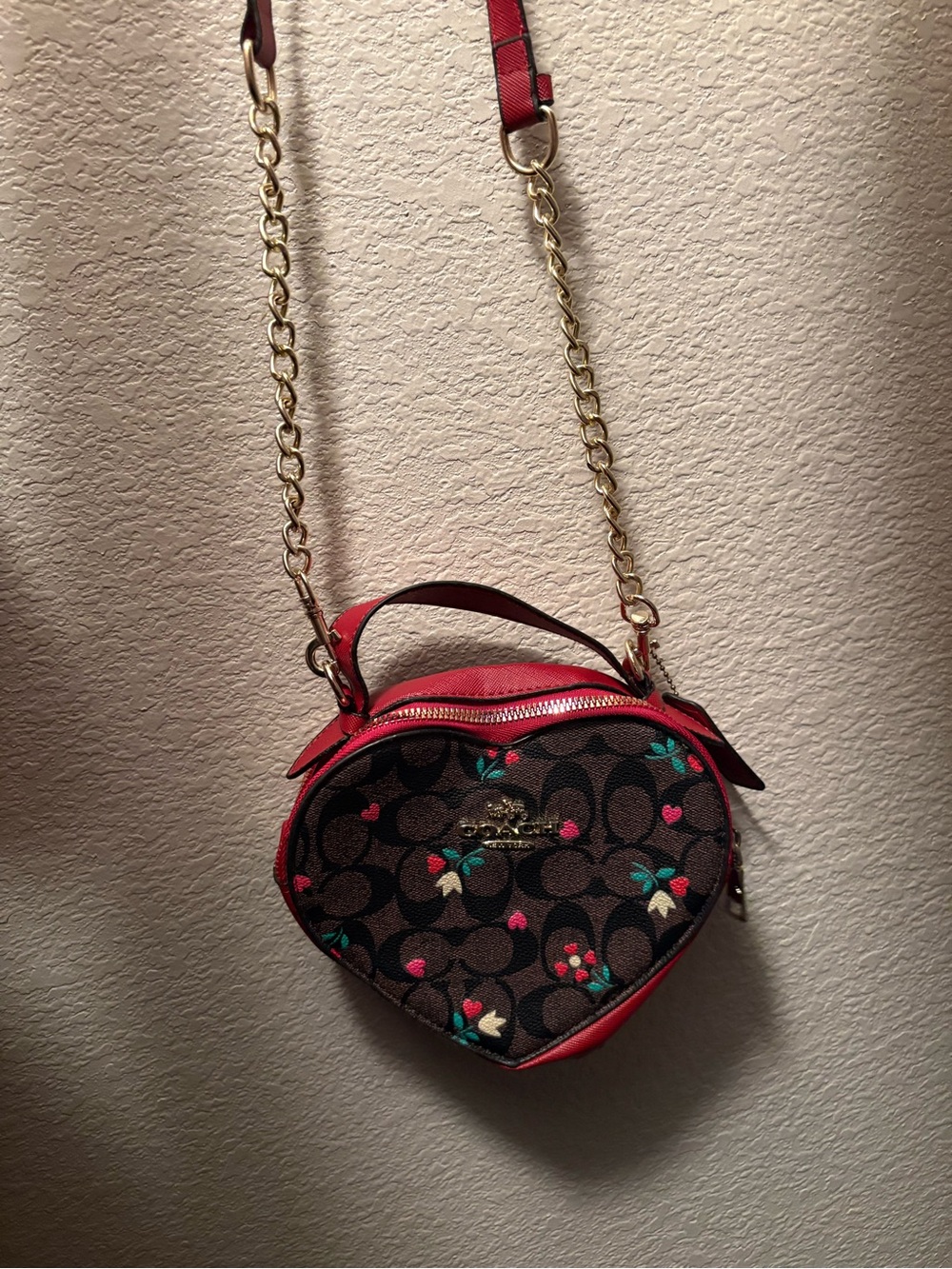 Coach Heart-Shaped Signature Mini Crossbody in Red and Brown